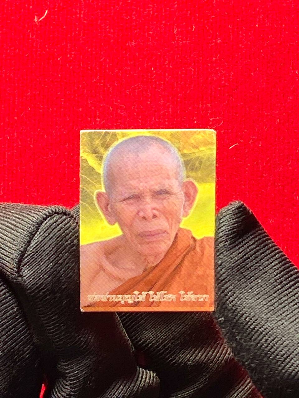 波譚文海草药粉萨利卡人缘鸟
 | Jin Thai Fo Pai