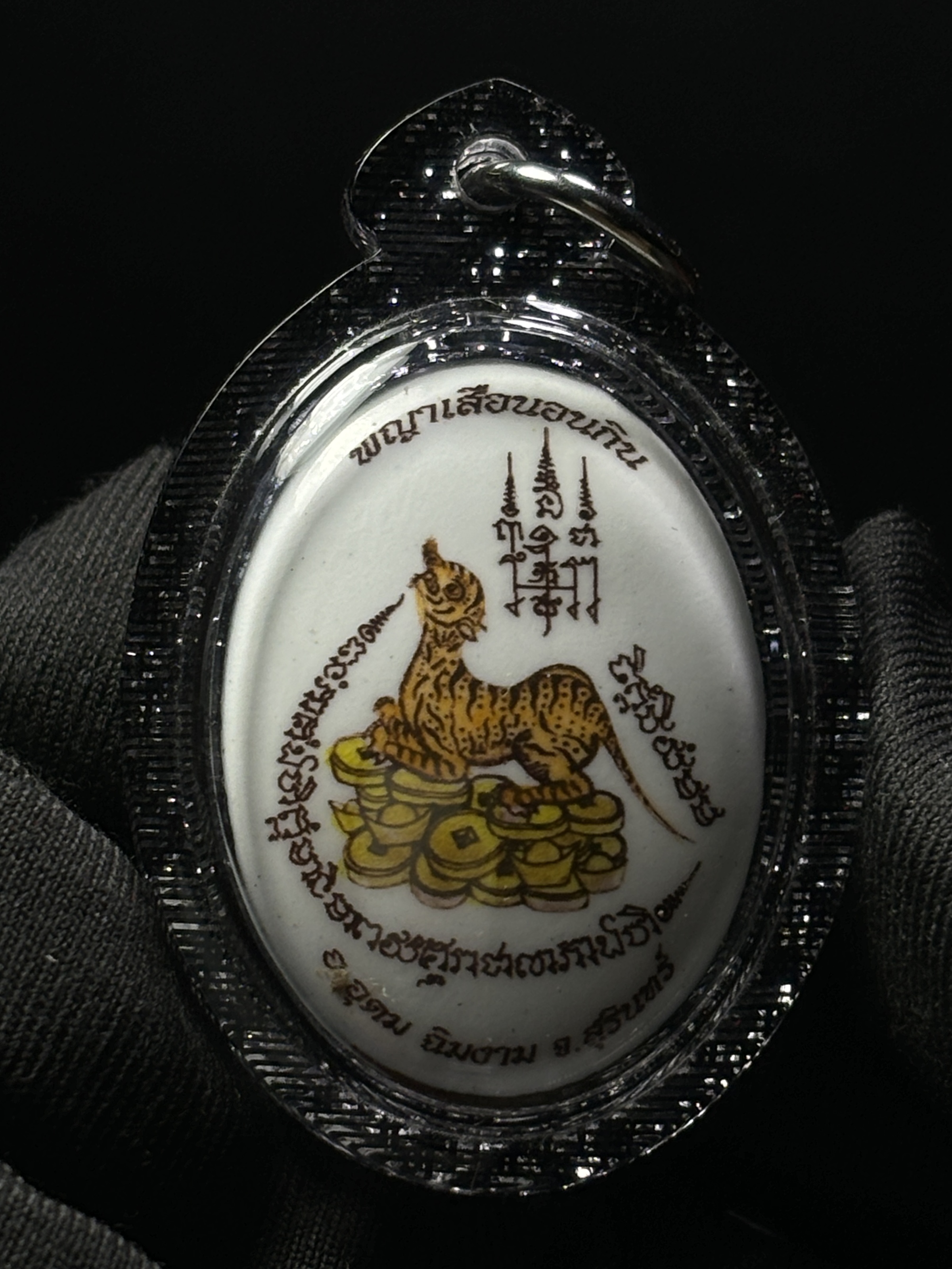 Jin Thai Fo Pai - ARCHAN BOY啊赞拜金运亨财睡虎食金（黑银亚克力防水壳）