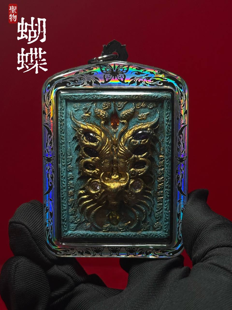 古巴吉士纳 • 大模人缘蝴蝶牌(现物实拍） | Jin Thai Fo Pai