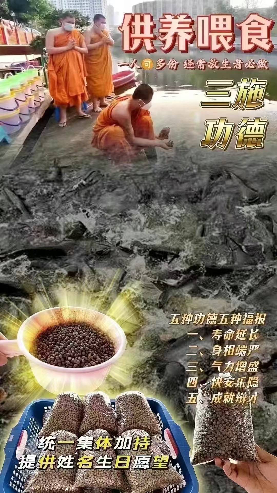 Jin Thai Fo Pai - 泰国佛日捐鱼粮十龟粮/1份